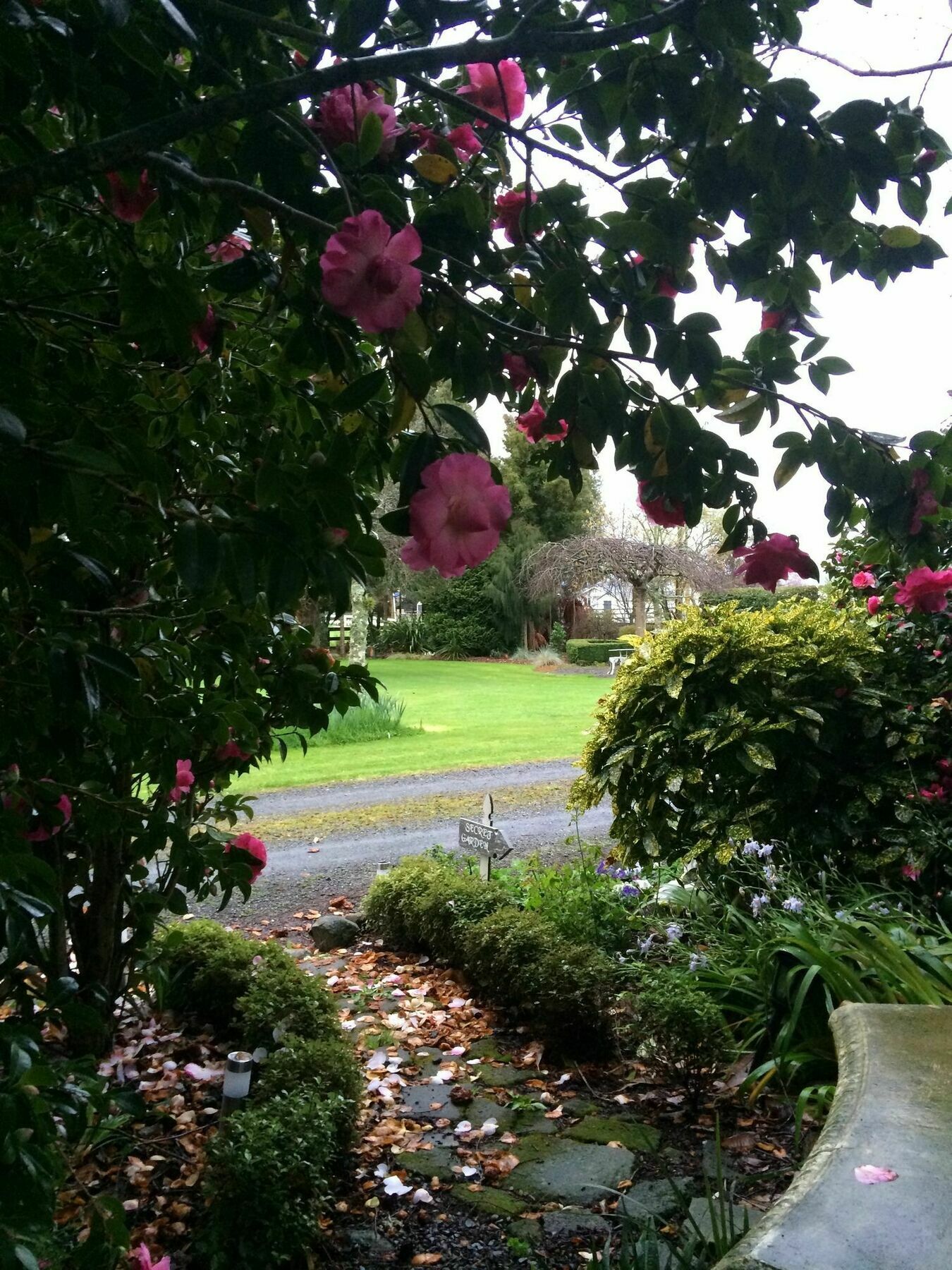 Blairgowrie House Bed and Breakfast Cambridge Eksteriør billede