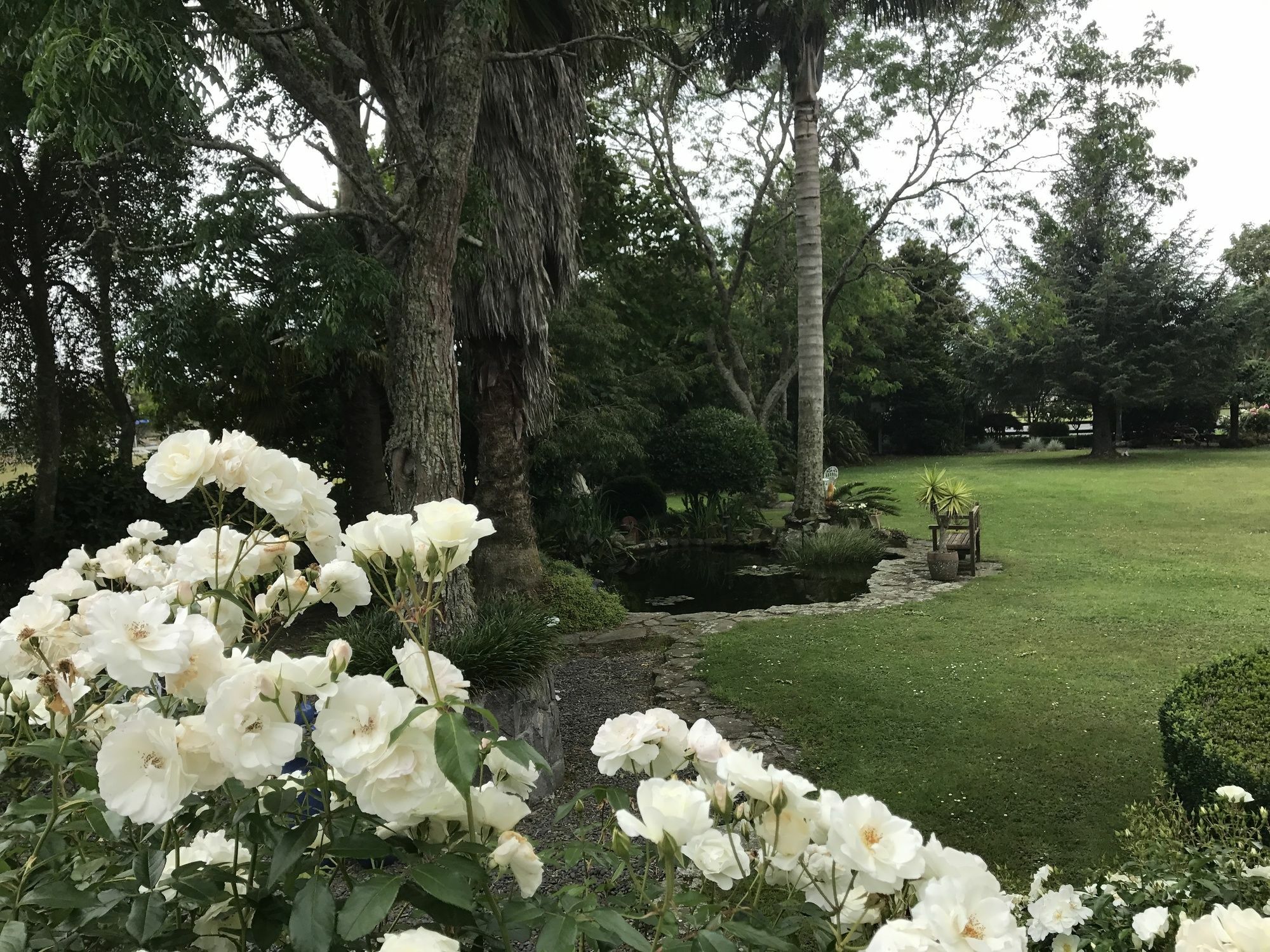 Blairgowrie House Bed and Breakfast Cambridge Eksteriør billede